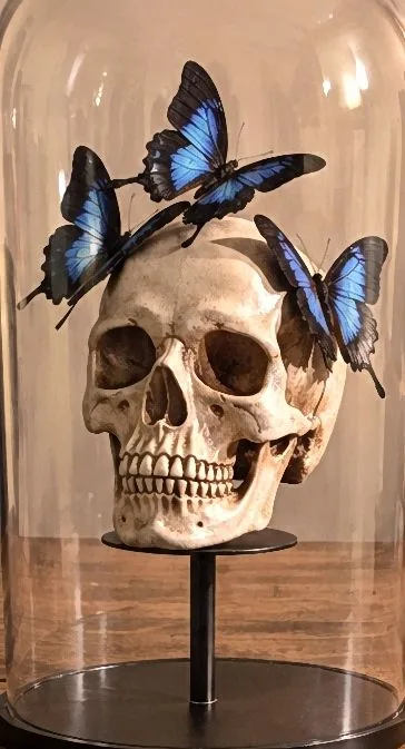 Morpho